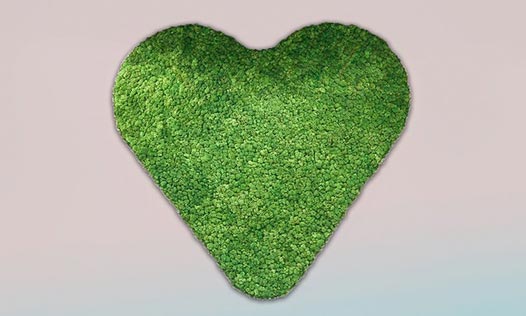Groene Hart ziekenhuis Gouda heeft groen hart van mos